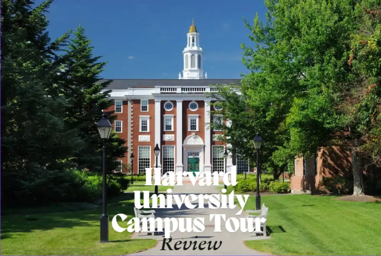 67115bf124a5b49a6a90611e